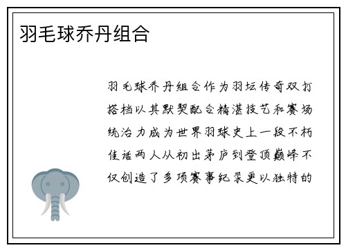 羽毛球乔丹组合