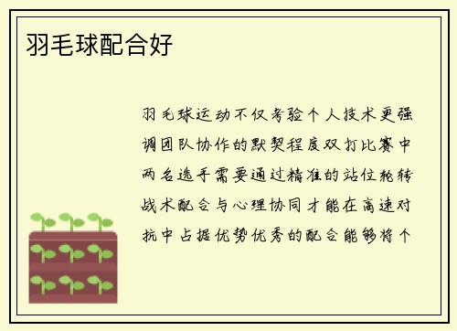羽毛球配合好